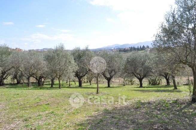 Terreno agricolo in commerciale in 