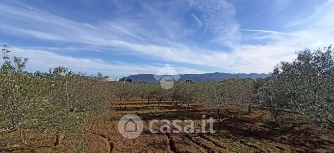 Terreno agricolo in commerciale in Via Bernardo de Muro