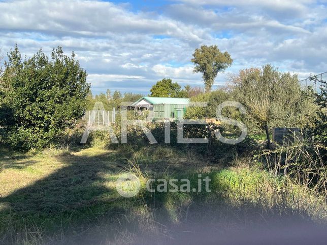 Terreno agricolo in commerciale in Via Niceneto