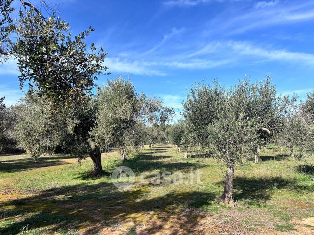 Terreno agricolo in commerciale in Via dei Nespoli