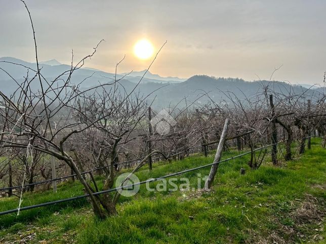 Terreno agricolo in commerciale in Via Bassa del Castello 13