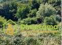 Terreno agricolo in commerciale in Via Case Sparse 138