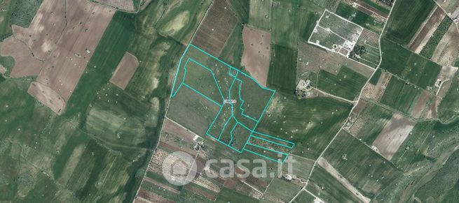 Terreno agricolo in commerciale in Strada Esterna Piede Piccolo