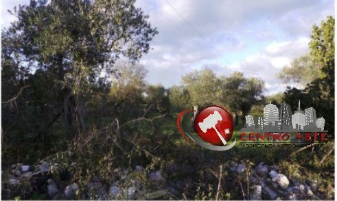 Terreno agricolo in commerciale in