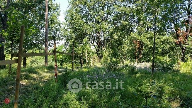 Terreno agricolo in commerciale in Viale del Tirreno
