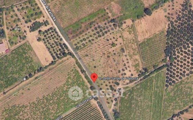 Terreno agricolo in commerciale in Via delle Selve di Pallotta