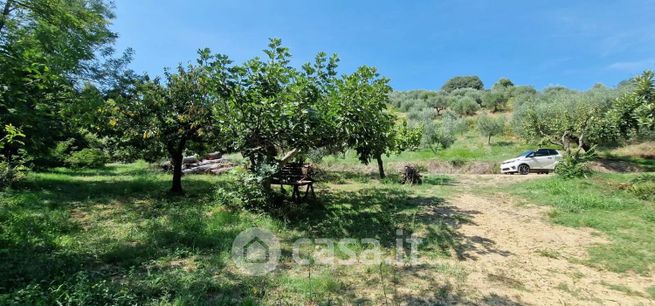 Terreno agricolo in commerciale in