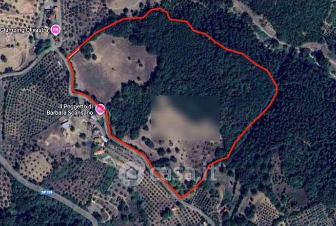 Terreno agricolo in commerciale in Località Zufolaio