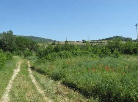 Terreno agricolo in commerciale in Via Nazionale