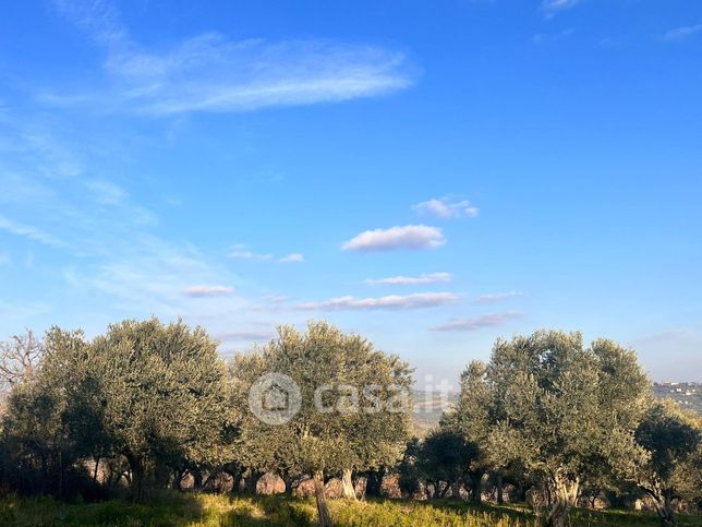 Terreno agricolo in commerciale in Contrada Monte
