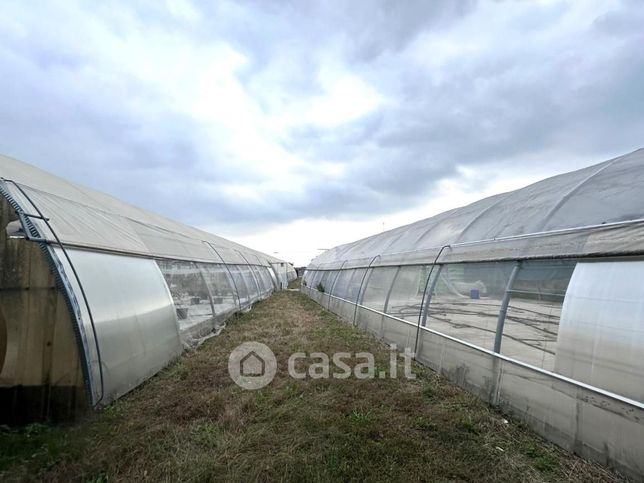 Terreno agricolo in commerciale in Via Caozocco 47