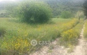 Terreno agricolo in commerciale in 