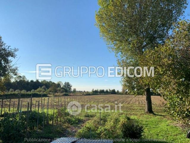 Terreno agricolo in commerciale in Via Casino Rosso