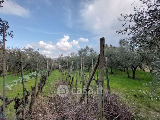 Terreno agricolo in commerciale in Via delle Tavarnuzze 1