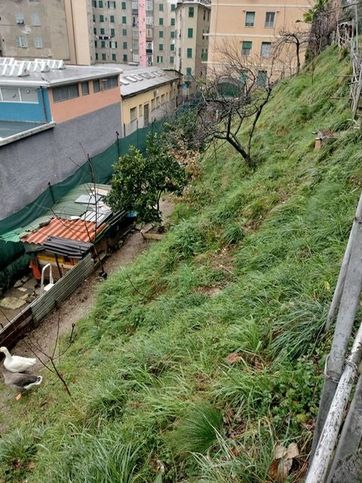 Terreno agricolo in commerciale in Via Carnia