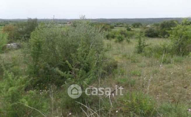 Terreno agricolo in commerciale in 