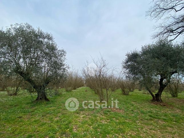 Terreno agricolo in commerciale in Via Fratta