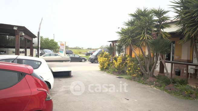 Capannone in commerciale in pill'e matta