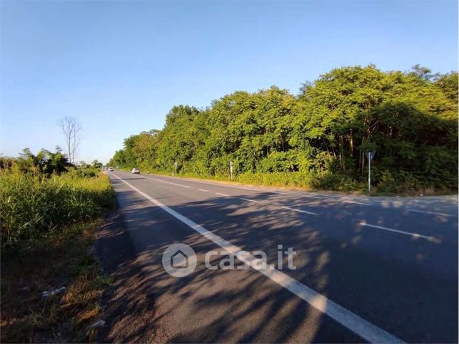 Terreno agricolo in commerciale in Via Pegorina