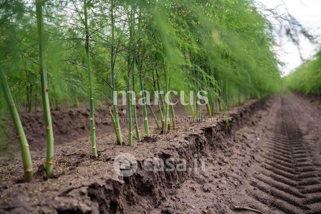 Terreno agricolo in commerciale in 