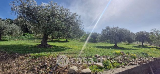 Terreno agricolo in commerciale in Via Terre Nere