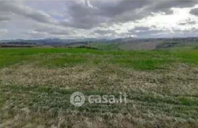 Terreno agricolo in commerciale in Strada Provinciale 29