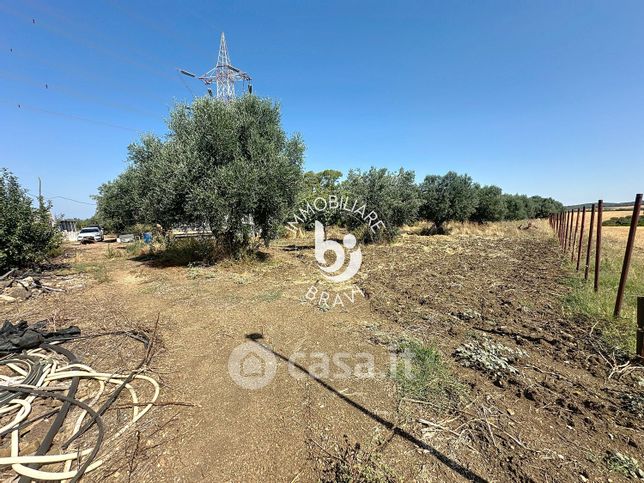 Terreno agricolo in commerciale in Via Domenico De Paolis