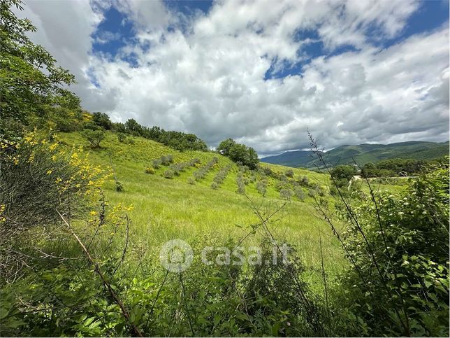 Terreno agricolo in commerciale in Vocabolo Largnano