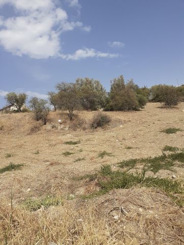 Terreno agricolo in commerciale in Strada Provinciale 17