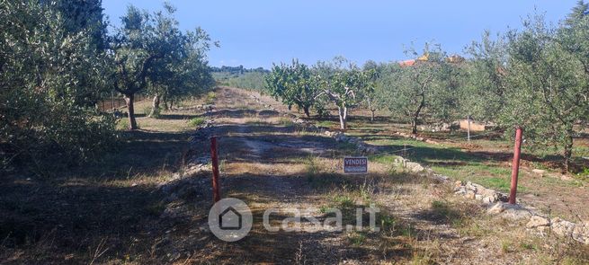 Terreno agricolo in commerciale in Viale delle Magnolie 7