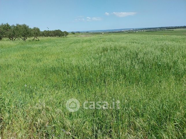 Terreno agricolo in commerciale in Strada Statale 603 00