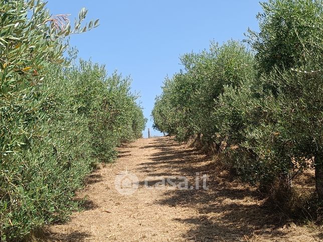 Terreno agricolo in commerciale in Autostrada del Sole 37