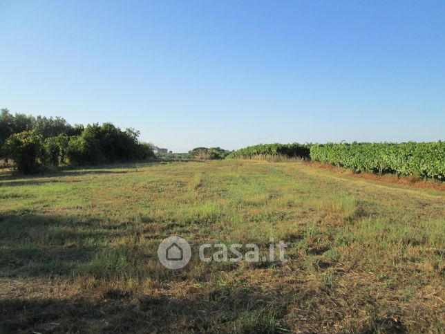 Terreno agricolo in commerciale in Via di Santa Maria in Fornarola 00