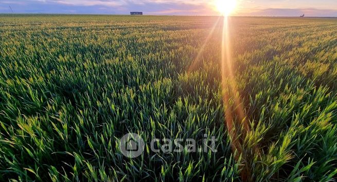 Terreno agricolo in commerciale in SP77