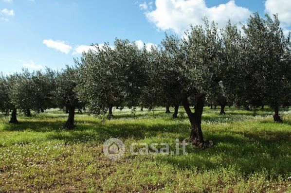 Terreno agricolo in commerciale in Contrada Lago