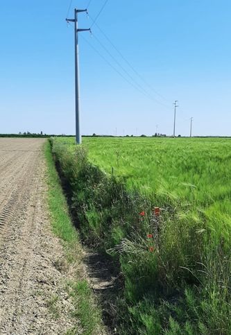 Terreno agricolo in commerciale in Via Giuseppe Mazzini