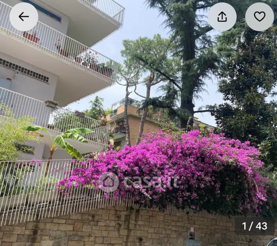 Appartamento in residenziale in Via Mario Fascetti 5