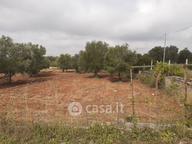 Terreno agricolo in commerciale in Via per Fragagnano