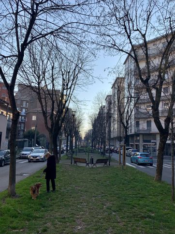 Attico/mansarda in residenziale in Viale Giacomo Matteotti