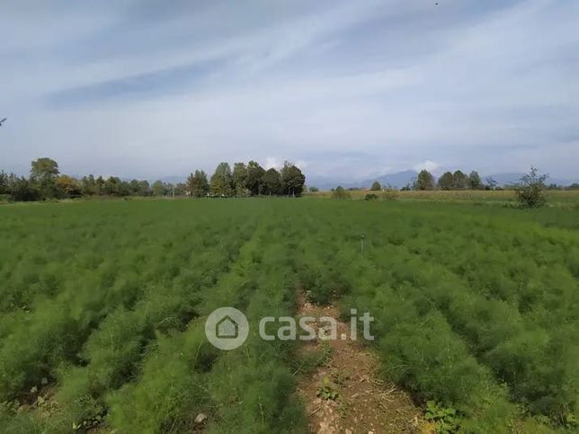 Terreno agricolo in commerciale in 