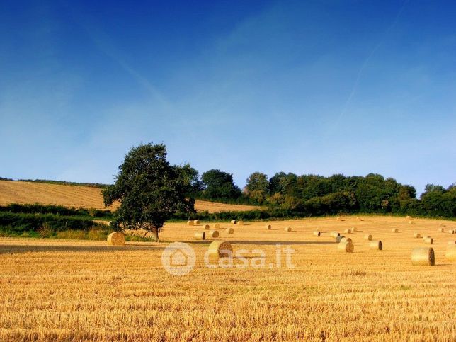 Terreno agricolo in commerciale in Via per Cossato 10