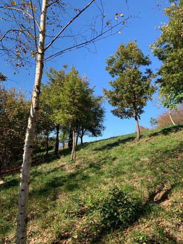 Terreno agricolo in commerciale in Strada per Naole