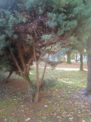 Appartamento in residenziale in Via degli Ortolani 14
