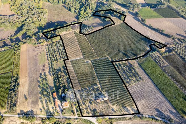 Terreno agricolo in commerciale in Contrada Iannace 4