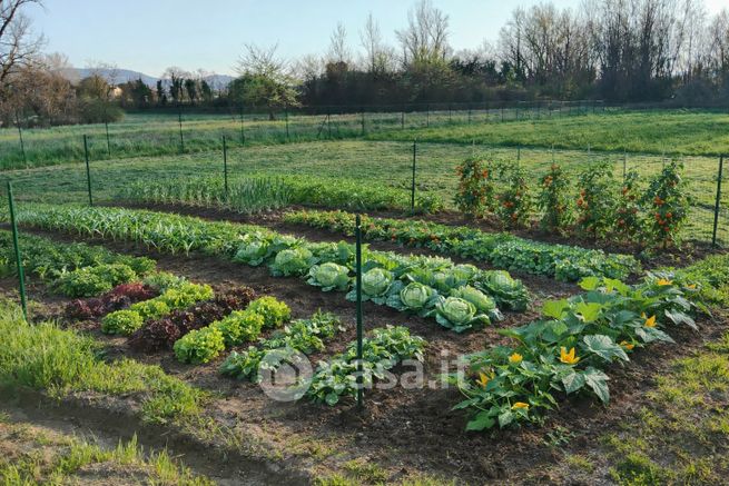 Terreno agricolo in commerciale in Via della Nave di Badia km 1
