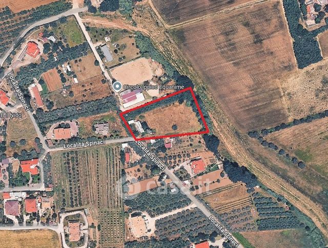 Terreno agricolo in commerciale in Località Spinaci 12
