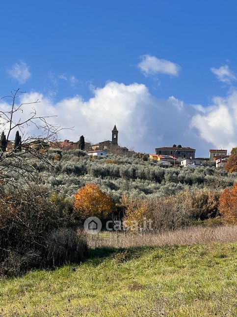 Terreno agricolo in commerciale in Via Vallelunga