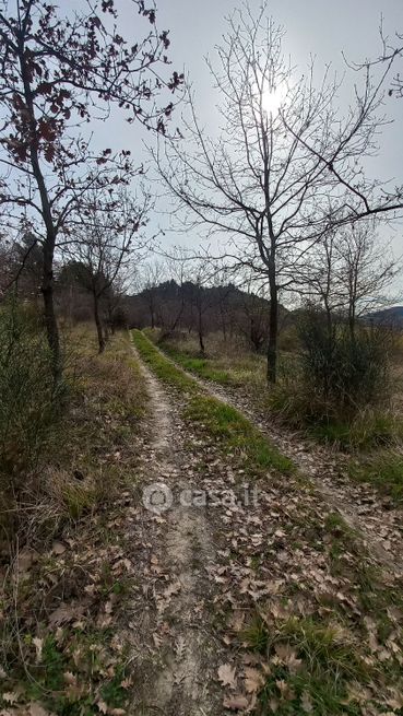 Terreno agricolo in commerciale in Frazione Montesicuro