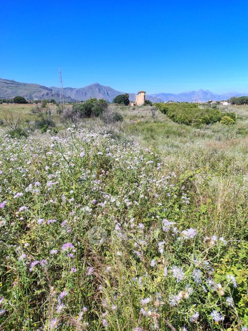 Terreno agricolo in commerciale in Via Lo Monaco