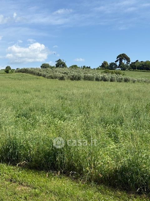 Terreno agricolo in commerciale in 
